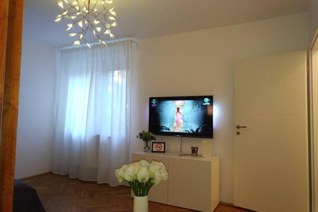 Art & Design Apt - City Center Timisoara Ngoại thất bức ảnh